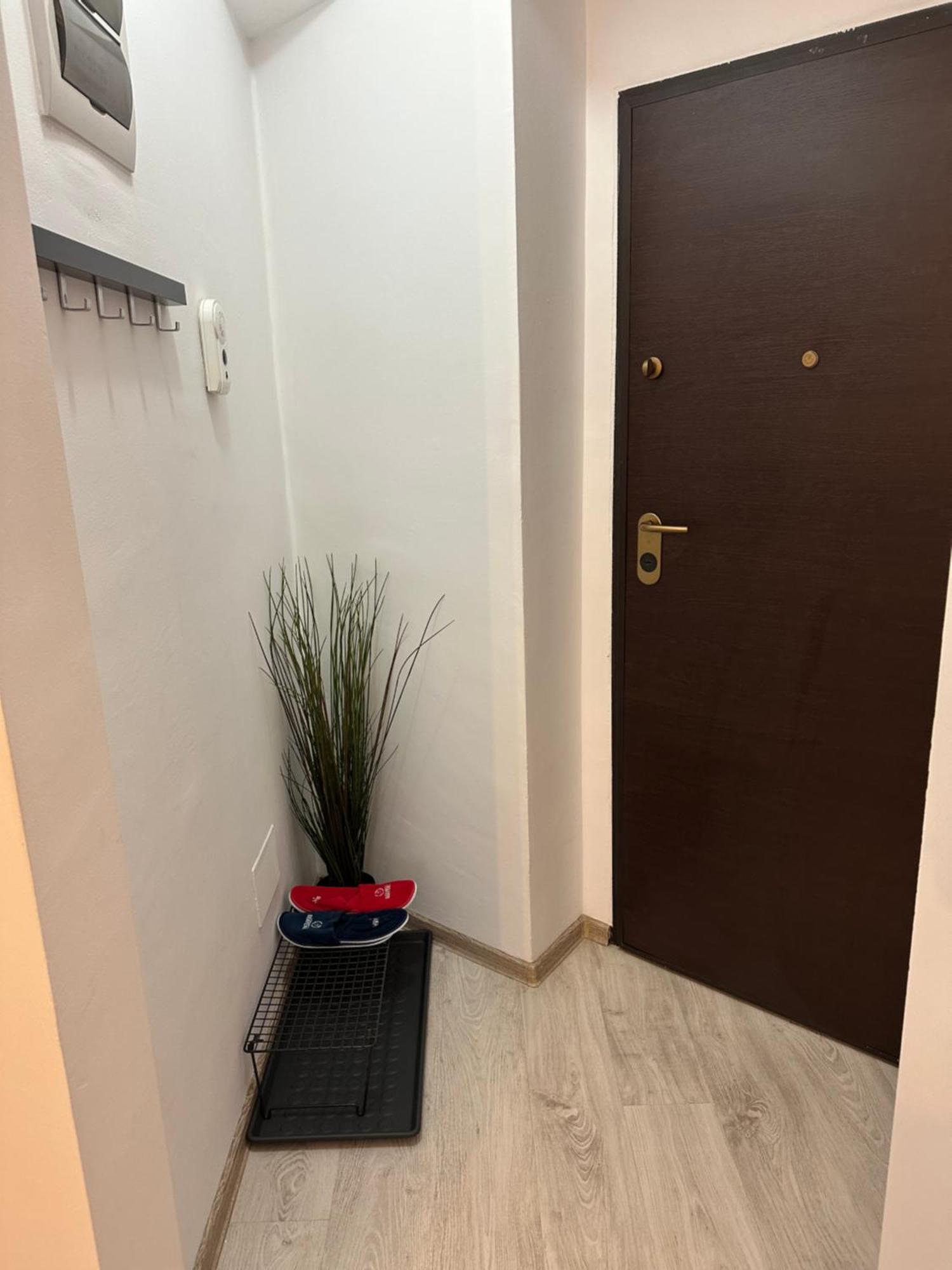Central Studio Bucur Bucharest Luaran gambar